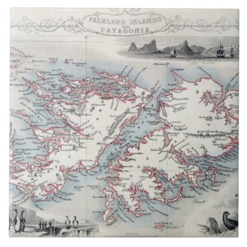 Falkland Islands and Patagonia from a Series of W Tile