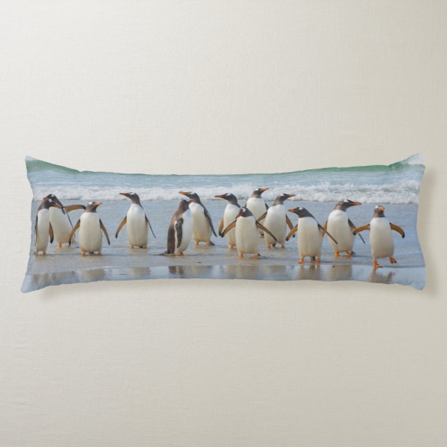 Falkland Islands. Saunders Island. Gentoo Body Pillow (Front)