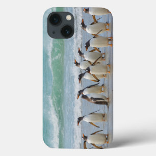 Falkland Islands. Saunders Island. Gentoo iPhone 13 Case