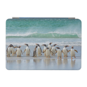 Falkland Islands. Saunders Island. Gentoo iPad Mini Cover