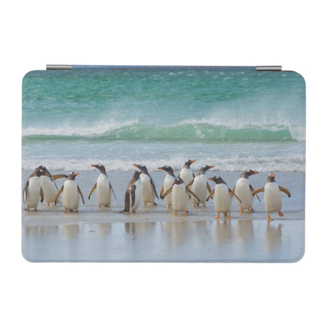 Falkland Islands. Saunders Island. Gentoo iPad Mini Cover (Horizontal)