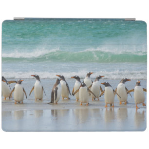 Falkland Islands. Saunders Island. Gentoo iPad Smart Cover