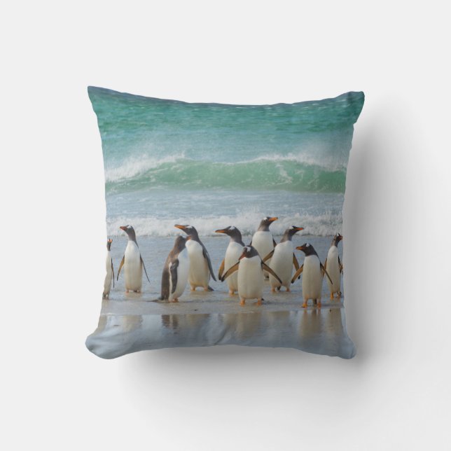Falkland Islands. Saunders Island. Gentoo Throw Pillow (Front)