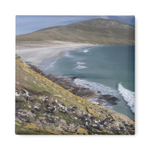 Falkland Islands, West Falkland, Saunders Magnet