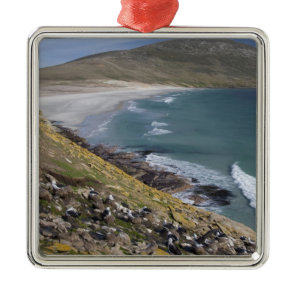 Falkland Islands, West Falkland, Saunders Metal Ornament