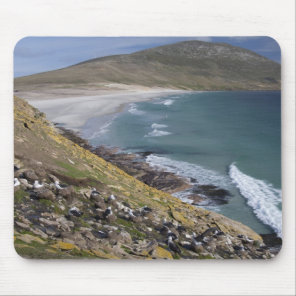 Falkland Islands, West Falkland, Saunders Mouse Pad