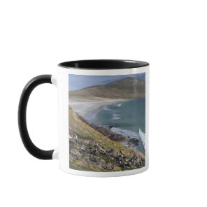 Falkland Islands, West Falkland, Saunders Mug