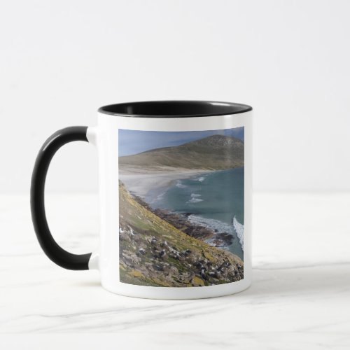 Falkland Islands West Falkland Saunders Mug