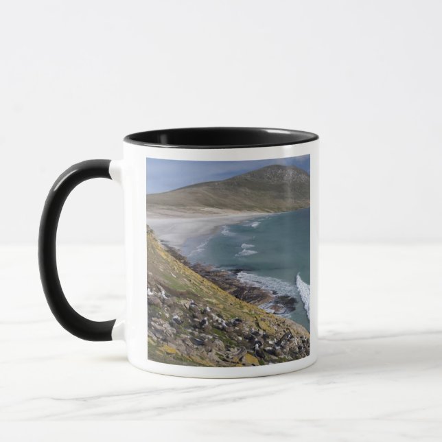 Falkland Islands, West Falkland, Saunders Mug (Left)