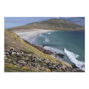 Falkland Islands, West Falkland, Saunders Photo Print