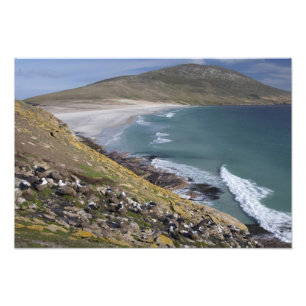 Falkland Islands, West Falkland, Saunders Photo Print