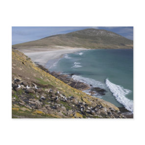 Falkland Islands, West Falkland, Saunders Postcard