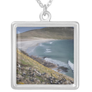 Falkland Islands, West Falkland, Saunders Silver Plated Necklace