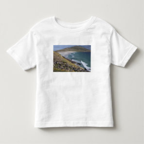 Falkland Islands, West Falkland, Saunders Toddler T-shirt
