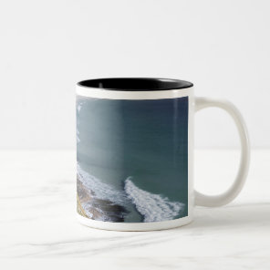Falkland Islands, West Falkland, Saunders Two-Tone Coffee Mug