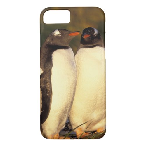 Falklands Islands Gentoo Penguins  Pyroscelis iPhone 87 Case