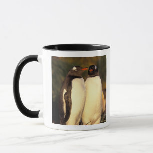 Falklands Islands. Gentoo Penguins. (Pyroscelis Mug