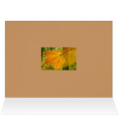 Fall (Inside Horizontal (Top))