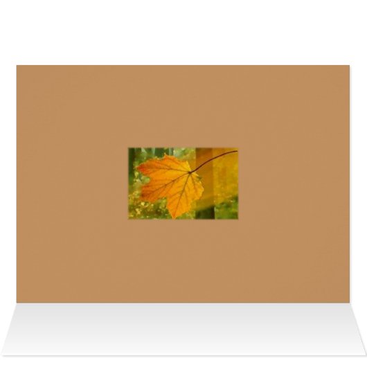 Fall (Inside Horizontal (Top))