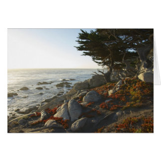 Fall Afternoon on the Pacific Cards