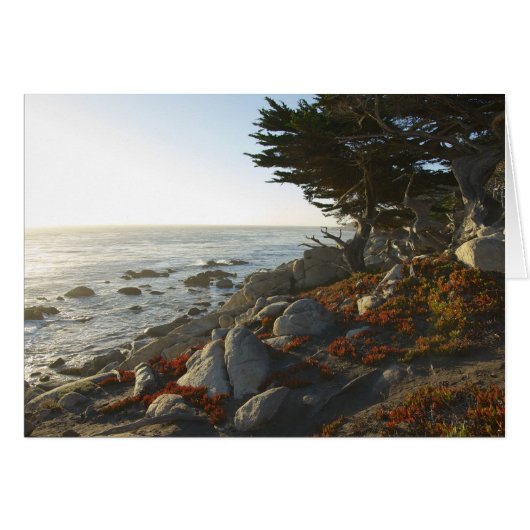 Fall Afternoon on the Pacific Cards (Front Horizontal)