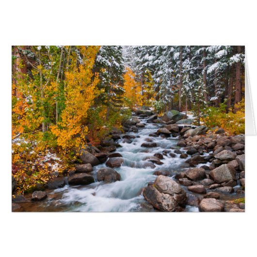 Fall along Bishop creek, California (Front Horizontal)