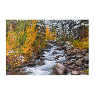 Fall along Bishop creek, California Acrylic Print