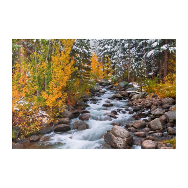 Fall along Bishop creek, California Acrylic Print (Front)