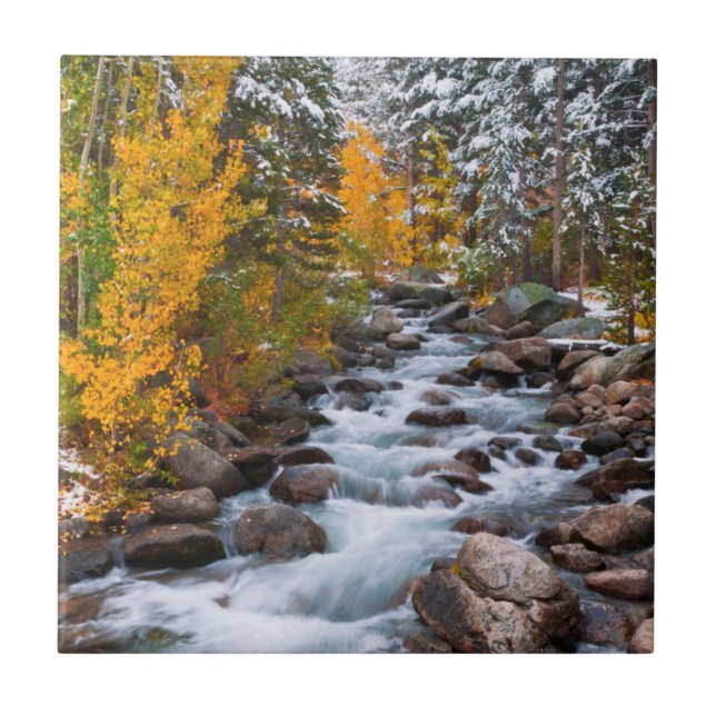 Fall along Bishop creek, California Ceramic Tile (Front)