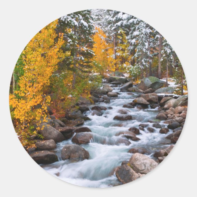 Fall along Bishop creek, California Classic Round Sticker (Front)