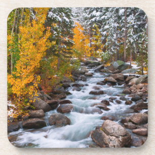 Fall along Bishop creek, California Drink Coaster