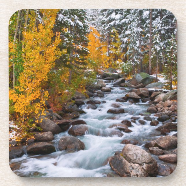 Fall along Bishop creek, California Drink Coaster (Front)