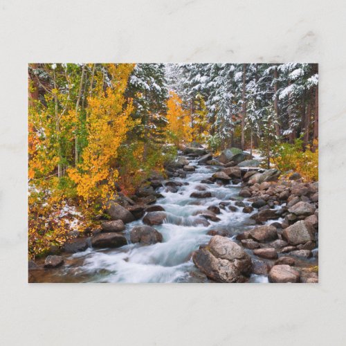 Fall along Bishop creek California Postcard