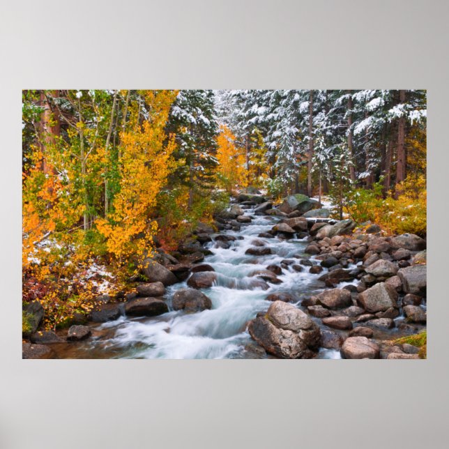 Fall along Bishop creek, California Poster (Front)