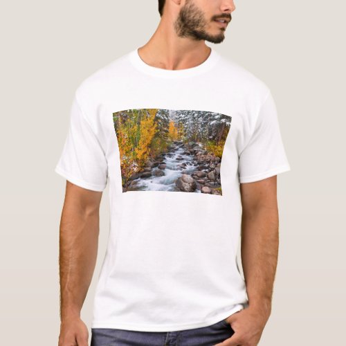 Fall along Bishop creek California T_Shirt