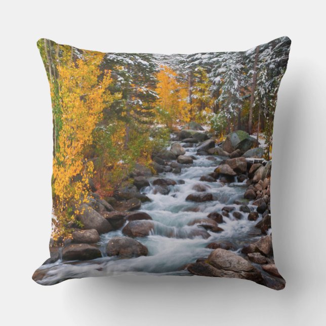 Fall along Bishop creek, California Throw Pillow (Front)