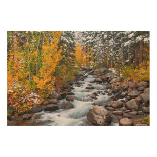Fall along Bishop creek, California Wood Wall Art