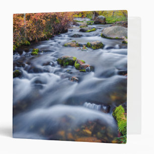 Fall along Lundy Creek, California 3 Ring Binder