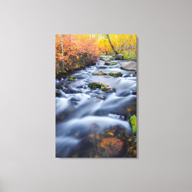 Fall along Lundy Creek, California Canvas Print (Front)