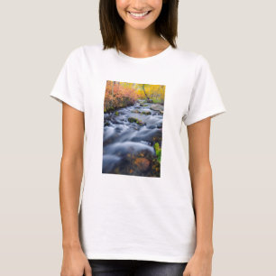 Fall along Lundy Creek, California T-Shirt