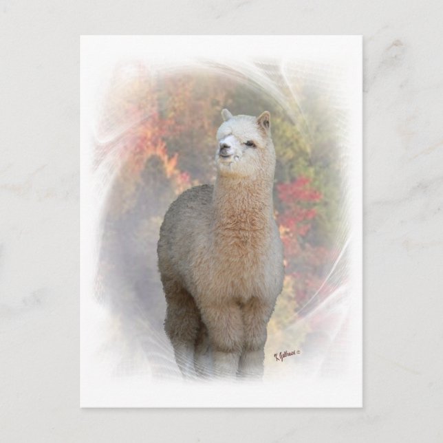 Fall Alpaca Postcard (Front)