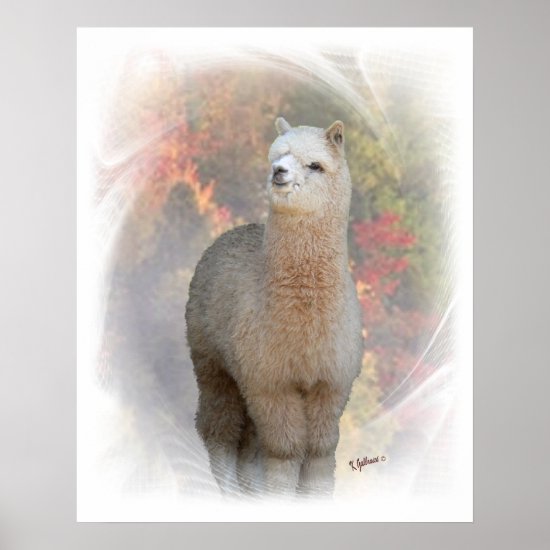 Fall Alpaca Print