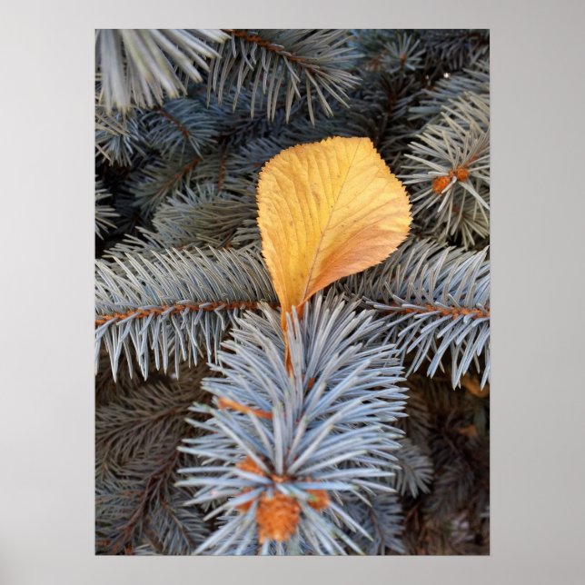 fall and winter poster (Front)