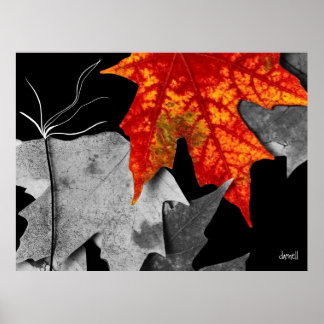 Fall Art Poster