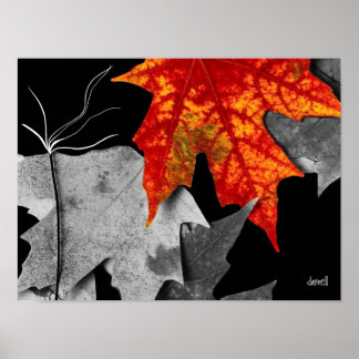 Fall Art Poster