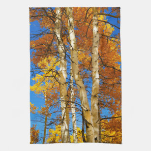 Fall Aspen Color Nature Photograph © Sandy Long Kitchen Towel
