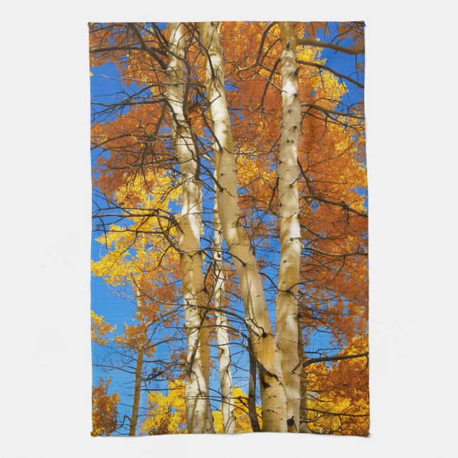 Fall Aspen Color Nature Photograph © Sandy Long Kitchen Towel (Vertical)