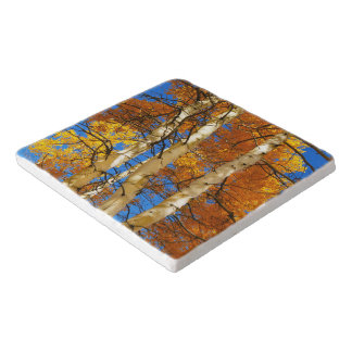 Fall Aspen Country Nature Photograph © Sandy Long Trivet