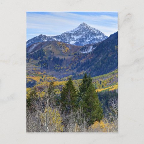 Fall At Cascade Peak And Sundance From Alpine Loop Postcard