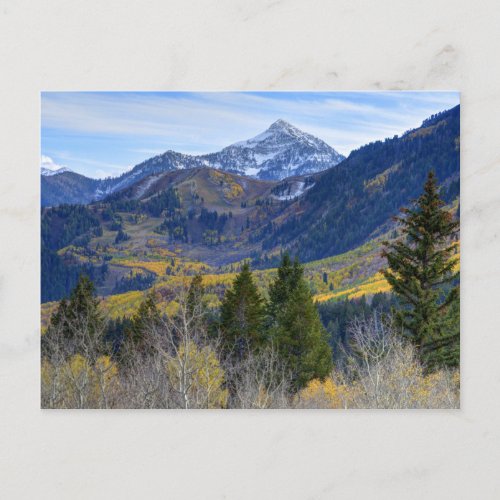 Fall At Cascade Peak And Sundance From Alpine Loop Postcard